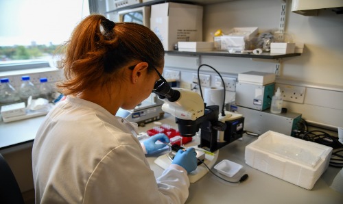 Female scientist working in lab 
