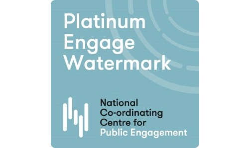 Platinum Watermark Logo