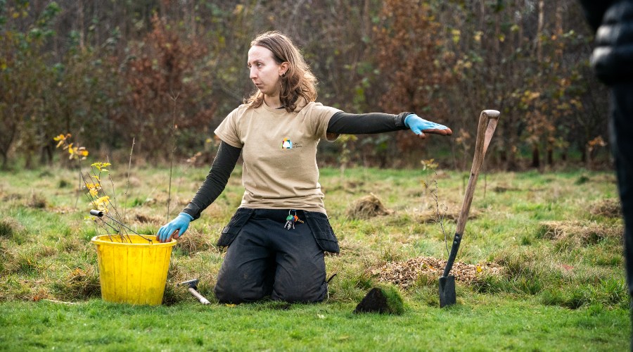 A City of Trees staff member demonstrates how to plant a tree.