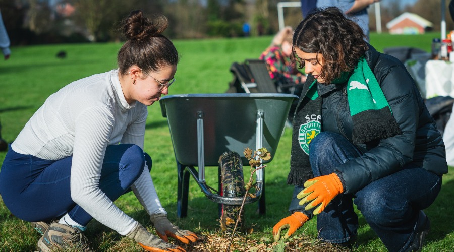 Two people crouch down to plant trees.