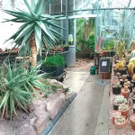 Firs Environmental Research Station and Botanical Gardens