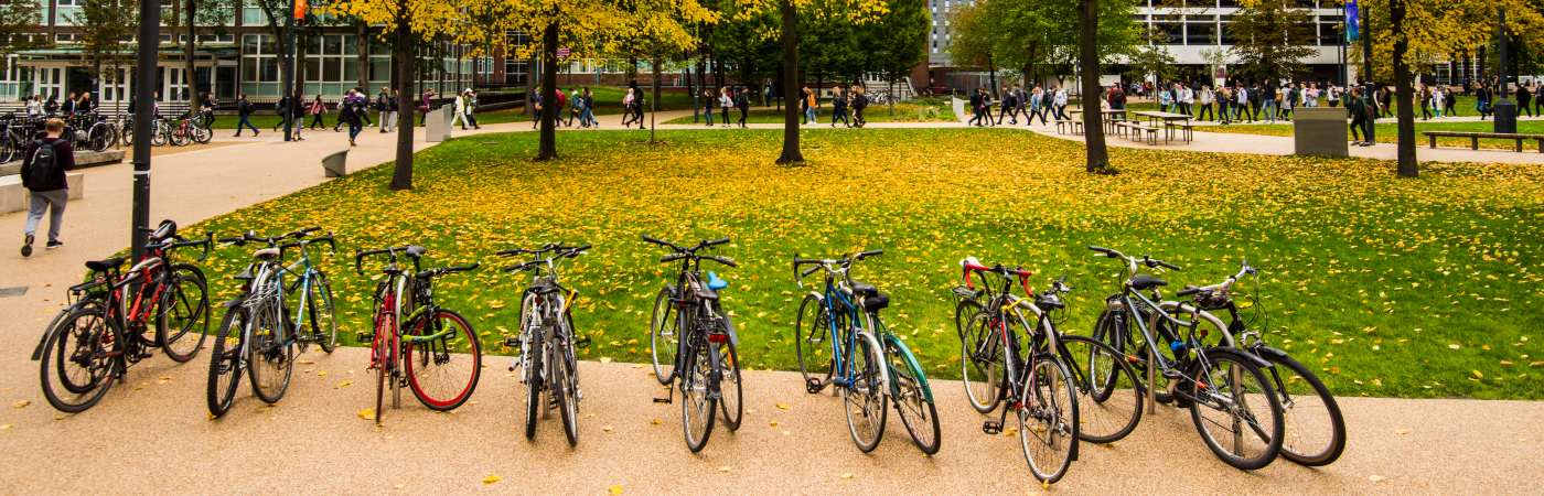Bicycles in a line with autumn trees in Brunswick Park