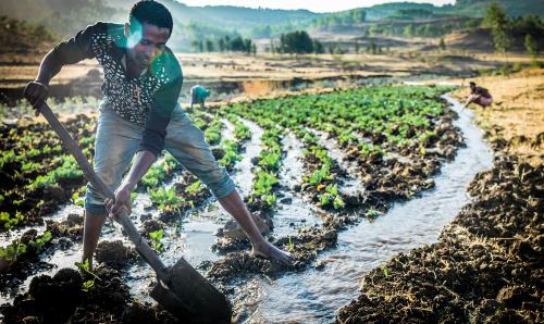 Man irrigating crops in a field