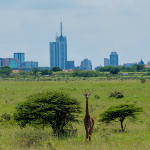Nairobi National Park Gate, Nairobi, Kenya, Photo by Murad Swaleh on Unsplash