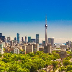 Toronto skyline with green trees in front