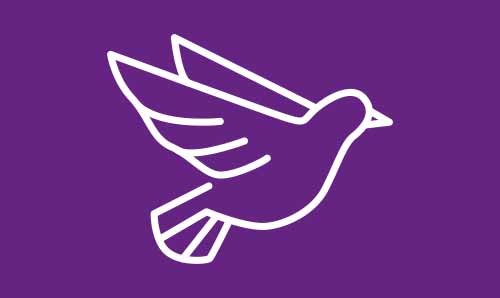 White icon of a dove in flight on a purple background