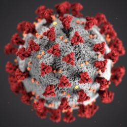 Centers for Disease Control and Prevention (CDC) reveals ultrastructural morphology exhibited by coronaviruses. 