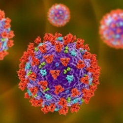 Covering Coronavirus fundamentals: A bitesize guide for