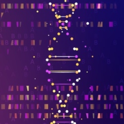 DNA