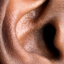 Close up of ear