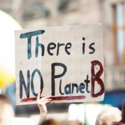 There is no plant B demonstrator sign
