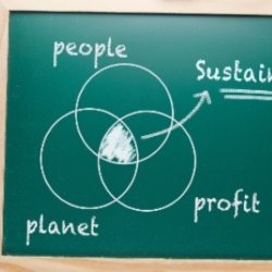 Chalkboard with diagram of sustainability written on