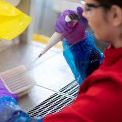 Scientists in lab running tests