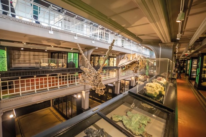 Inside the Manchester Museum