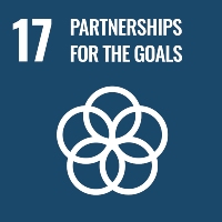 SDG 17 graphic