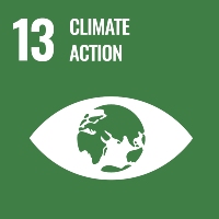 SDG 13 graphic