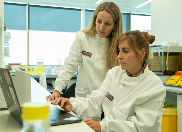 Professor Petra Hamerlik