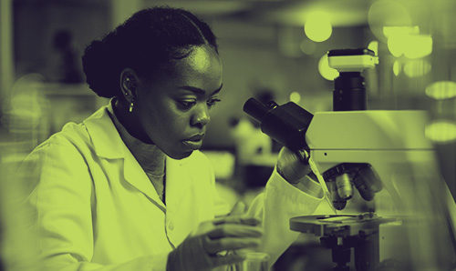 Scientist using a microscope in a laboratory, symbolising research, innovation, and scientific progr