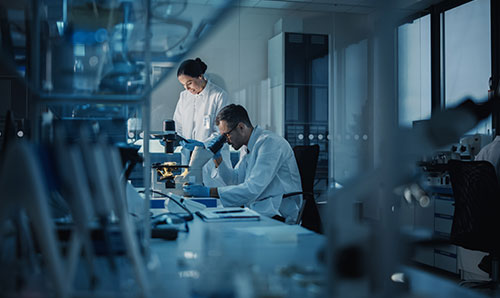 Scientists working in a modern laboratory with microscopes, symbolising research and innovation.