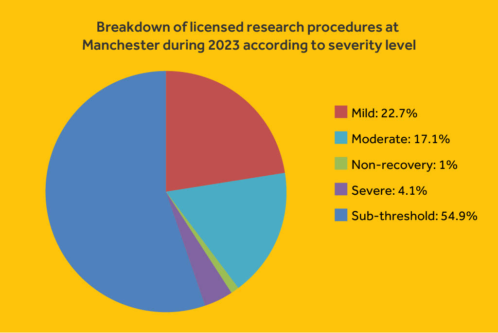 Chart: Severity levels of our animal research 2023