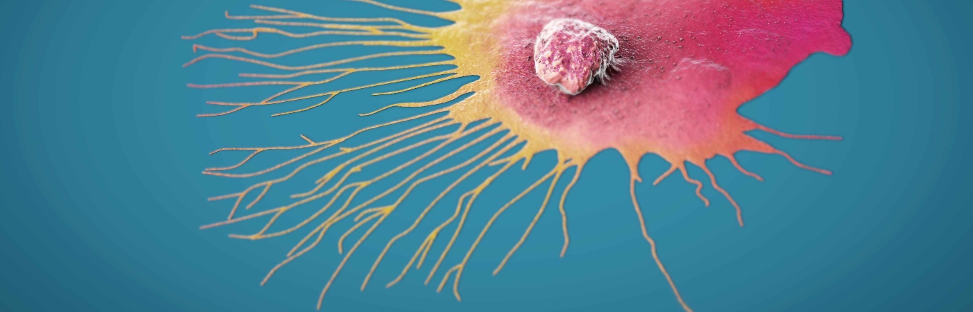 Illustration of a migrating breast cancer cell