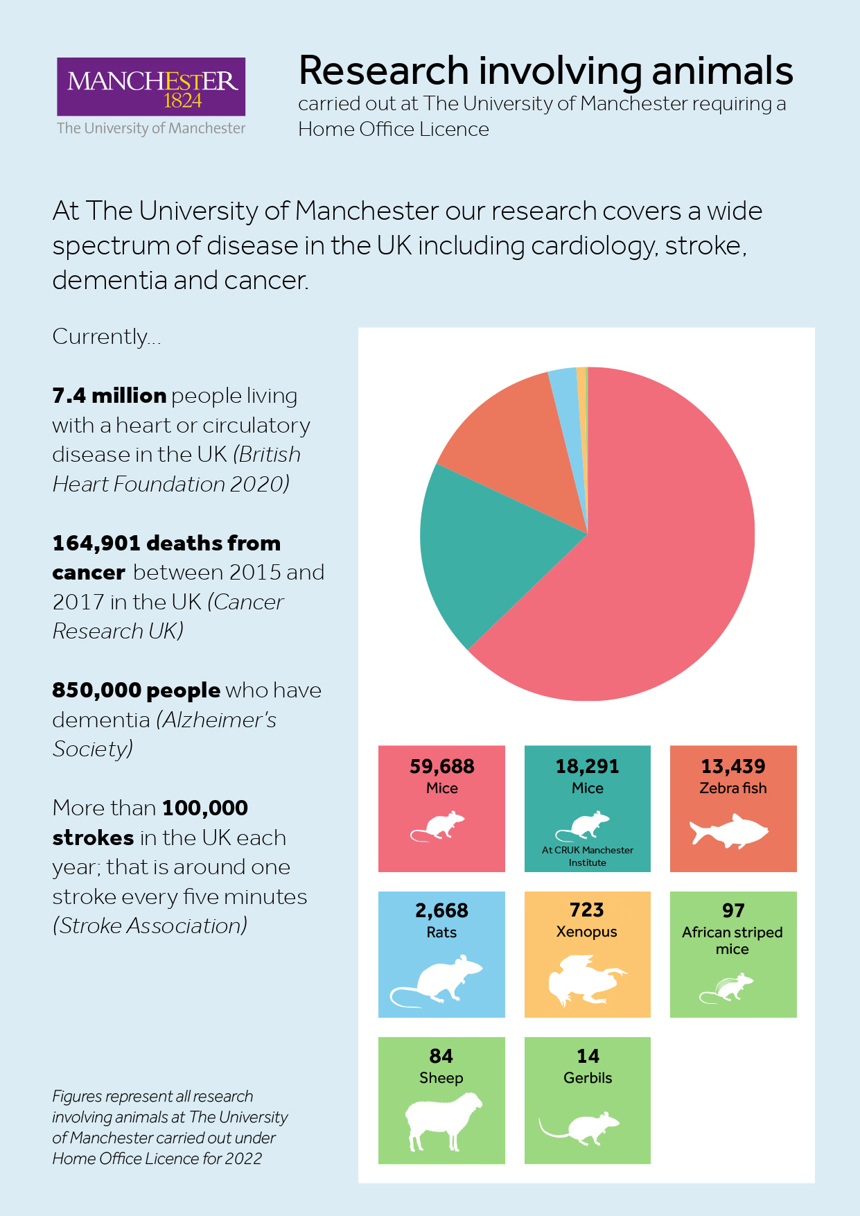 Research involving animals infographic 2022