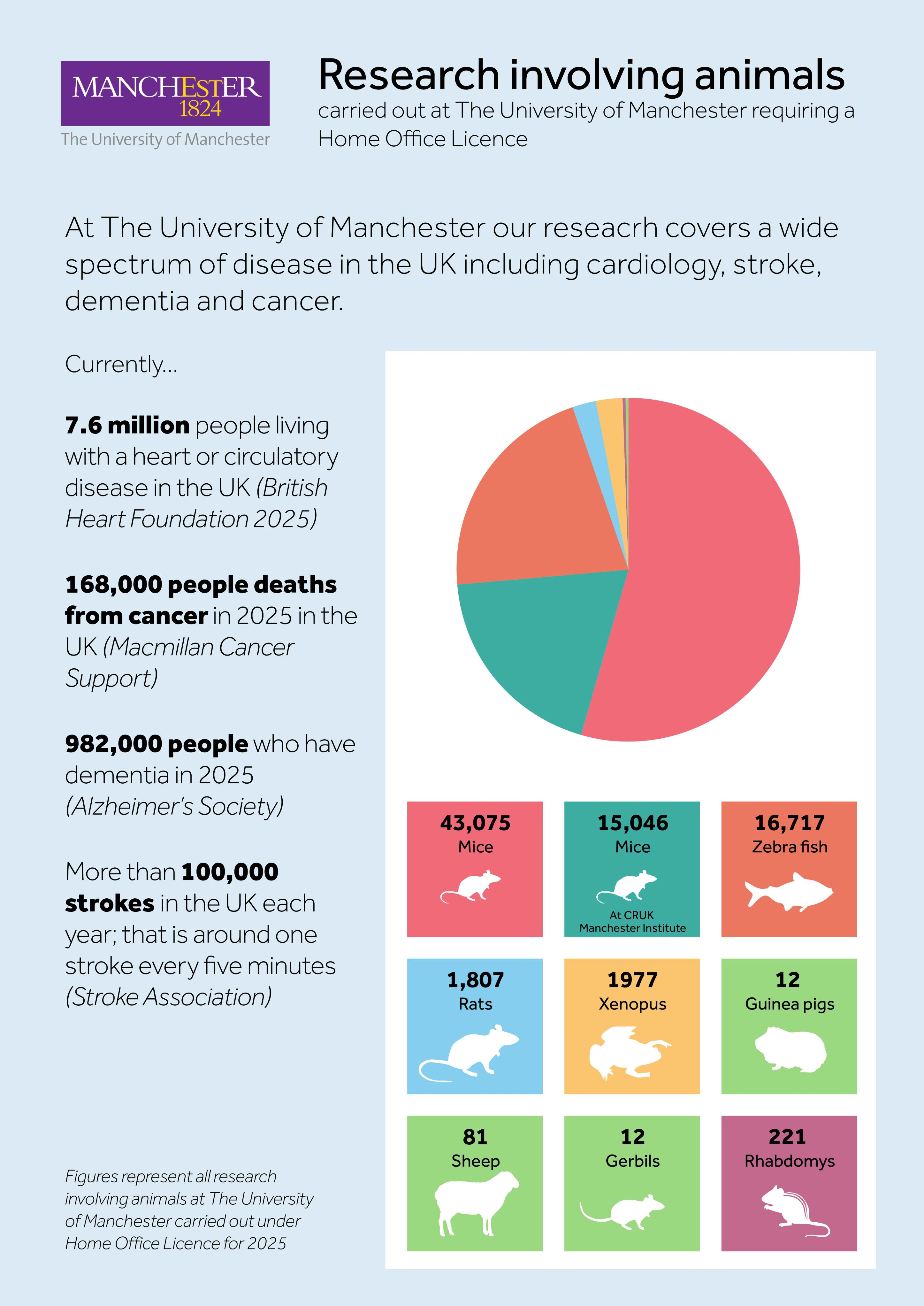 Research involving animals infographic 2025