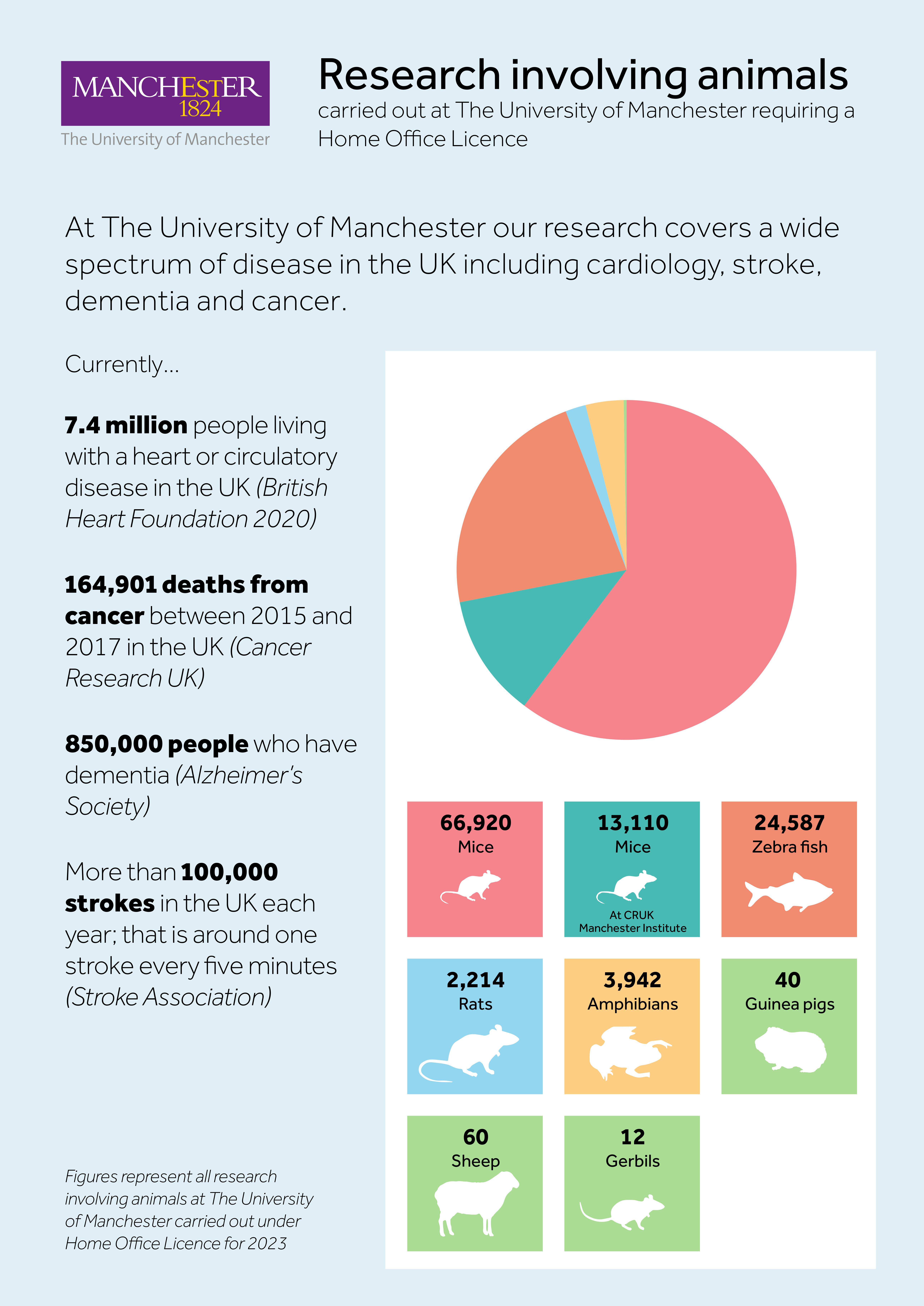 Research involving animals infographic 2023
