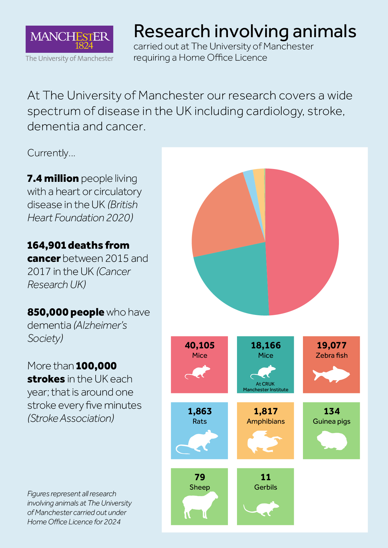 Research involving animals infographic 2024