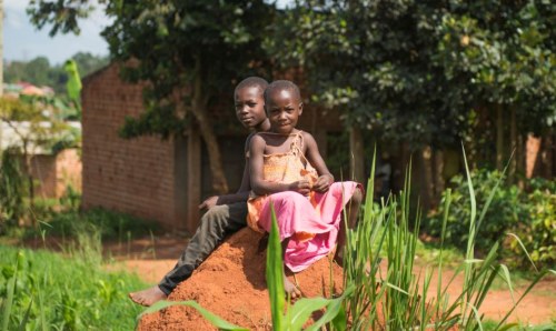 Children sit atop a giant ant hill in Nabweru Slum Credit David Gennard