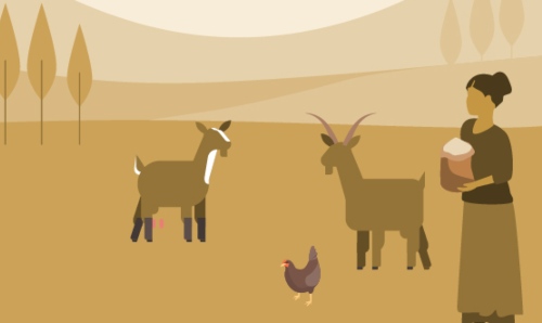 Infographic of woman farmer and animals