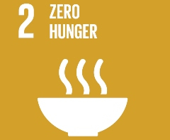 SDG poster for Zero hunger