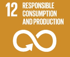 SDG poster for Responsible consumption and production