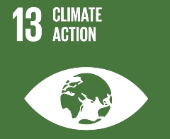 SDG poster for Climate action