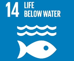SDG poster for Life below water