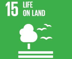 SDG poster for Life on land