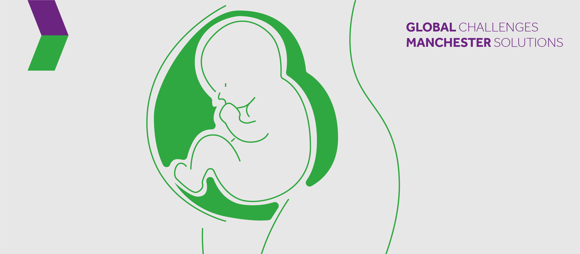 A baby growing inside a person's womb.