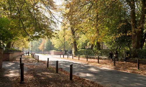 Birchfields Park.