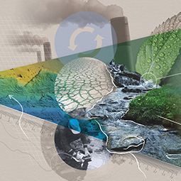 Pollution and Environmental Control
