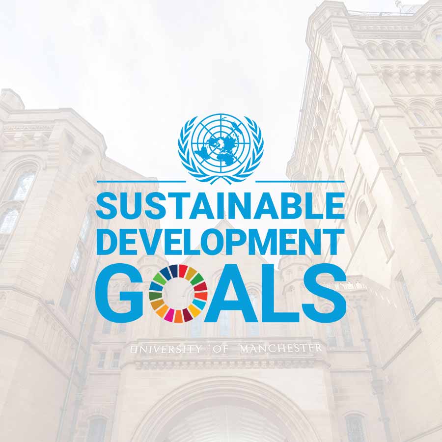 UN SDGs Logo