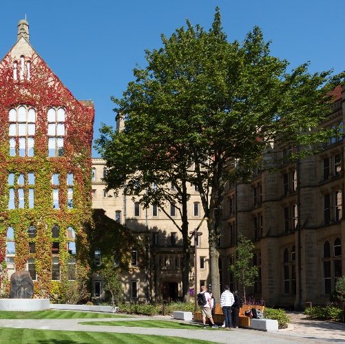 <p>See the top outdoor spots across campus and discover ways to support sustainability. </p>