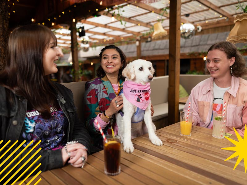 Group of students and an assistance dog sat chatting