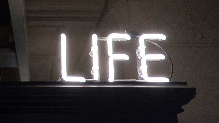 Neon Life sign at Manchester Museum