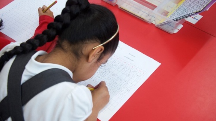 Primary schoolgirl working at her desk