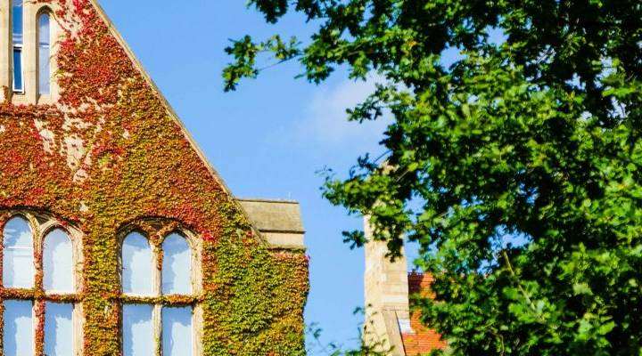 University building and trees